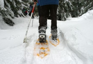 En el corazón de los Vosges 